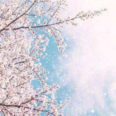 君博体育官网网页登录 app怎么下载